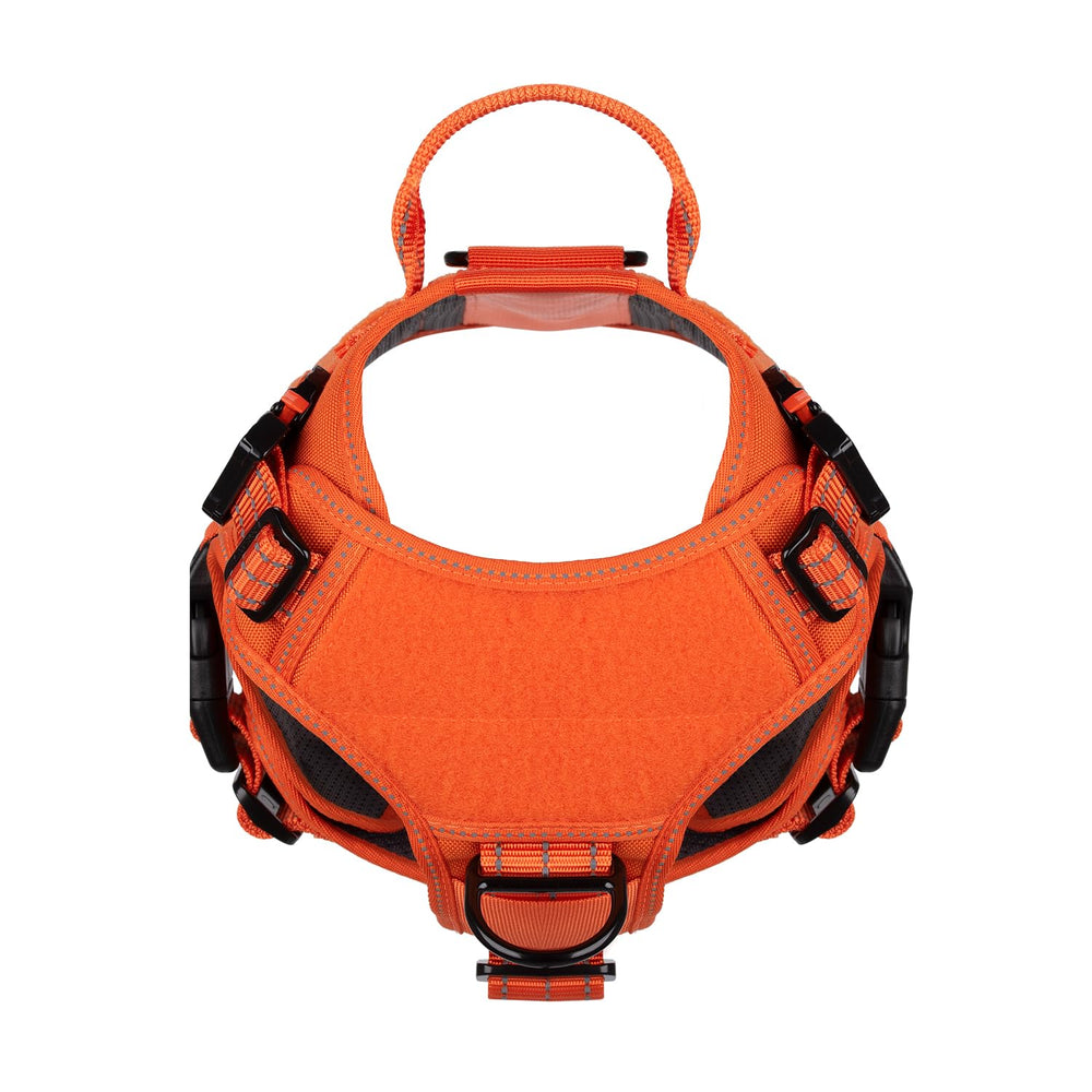 ICEFANG harnais tactique taille M, panneaux auto-agrippants personnalisables