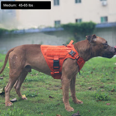 ICEFANG harnais tactique taille M, panneaux MOLLE pour accessoires