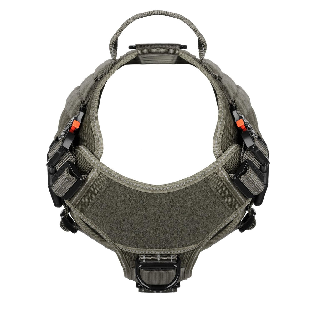 ICEFANG harnais avec panneaux MOLLE pour attacher accessoires durant l'entraînement.