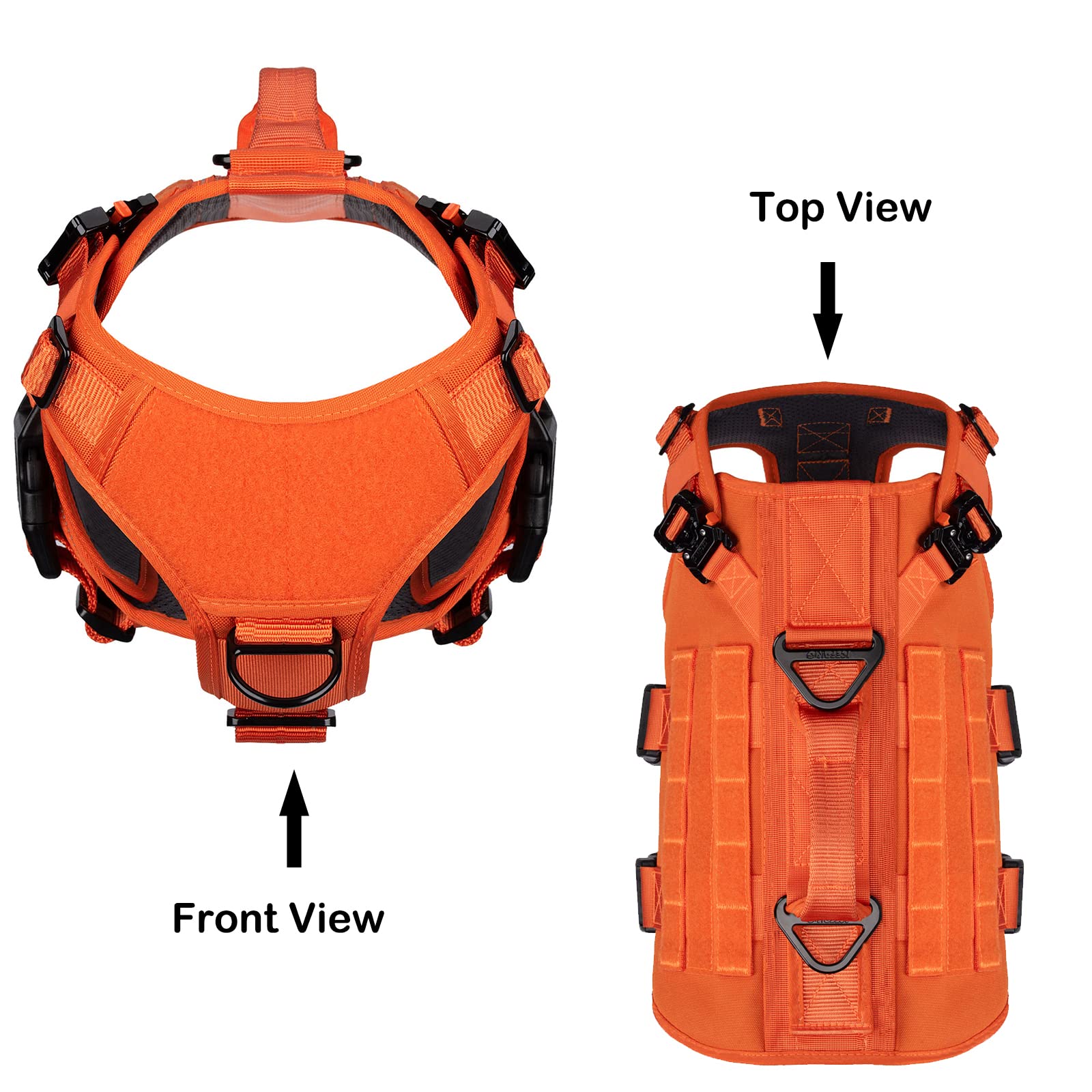 Dispositif Molle/PALs ICEFANG GN3 pour transporter accessoires lors des sorties.
