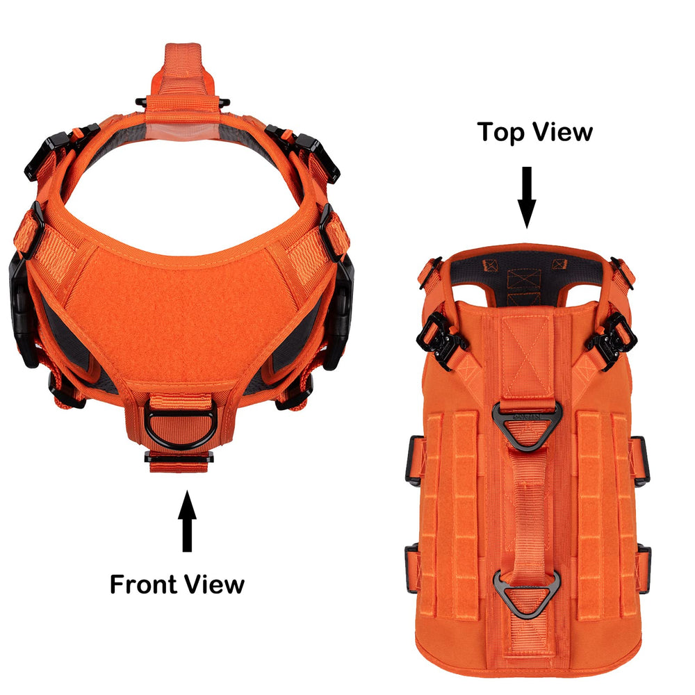 Dispositif Molle/PALs ICEFANG GN3 pour transporter accessoires lors des sorties.