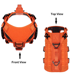 Dispositif Molle/PALs ICEFANG GN3 pour transporter accessoires lors des sorties.