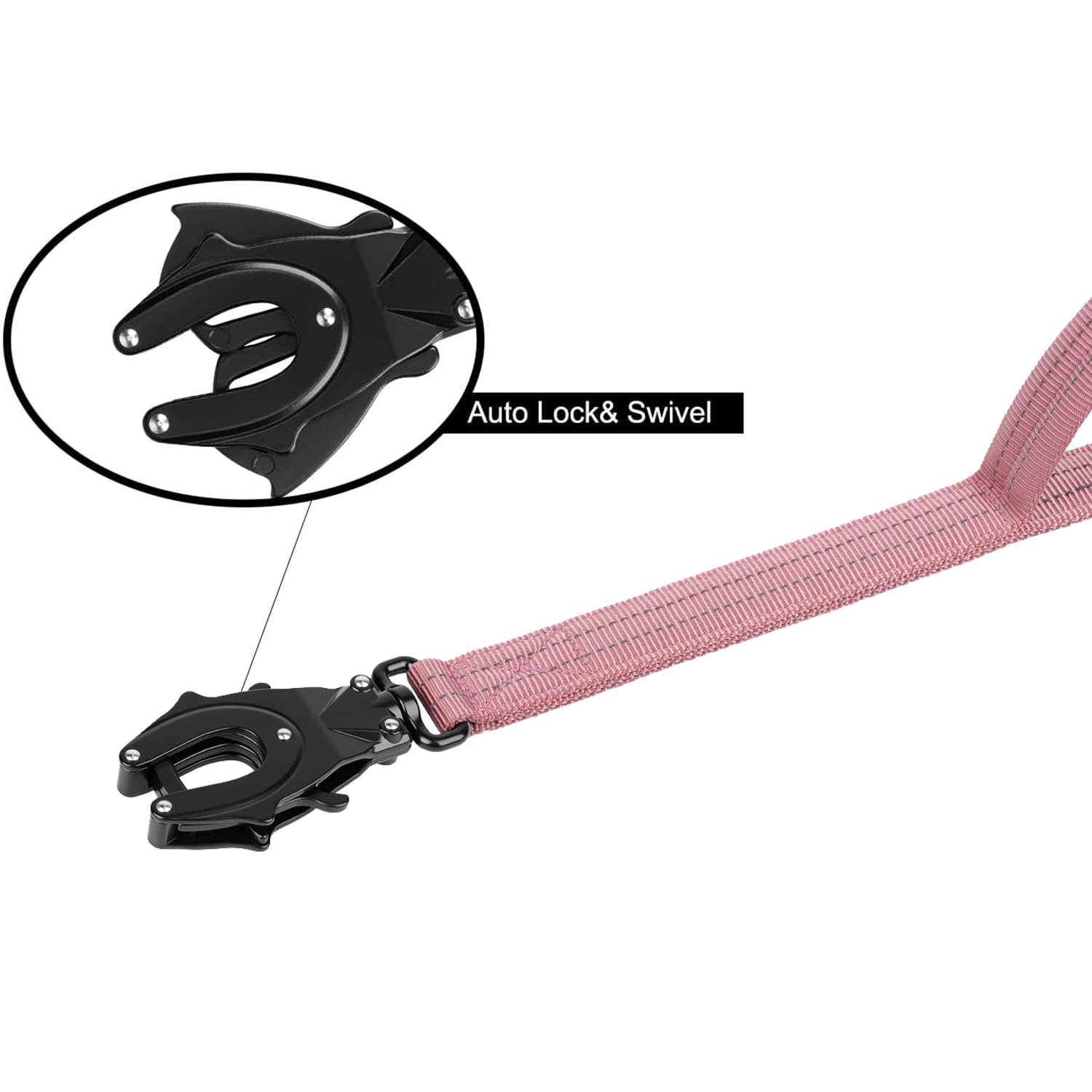 ICEFANG Laisse avec absorption élastique pour limiter les tirages brusques.