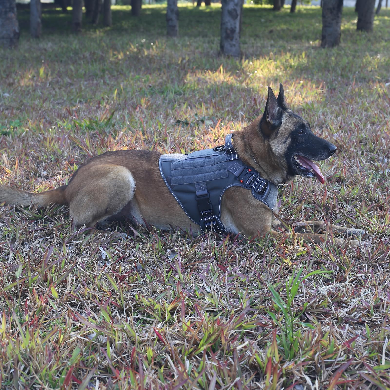ICEFANG panneaux MOLLE sur harnais chien personnalisation légère