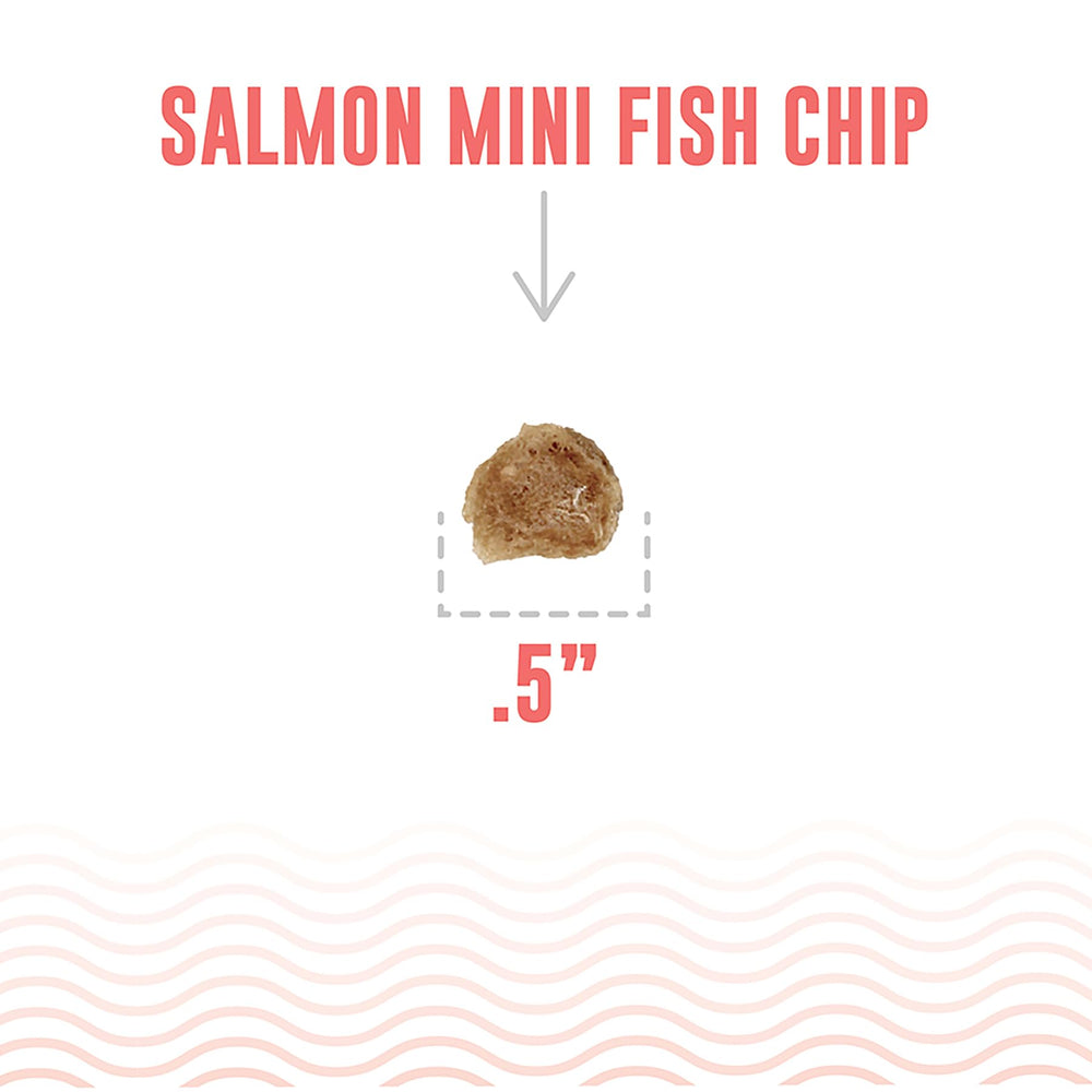 Icelandic+ Friandises saumon, soutien potentiel pour la santé dentaire des chiens.