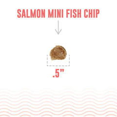 Icelandic+ Friandises saumon, soutien potentiel pour la santé dentaire des chiens.