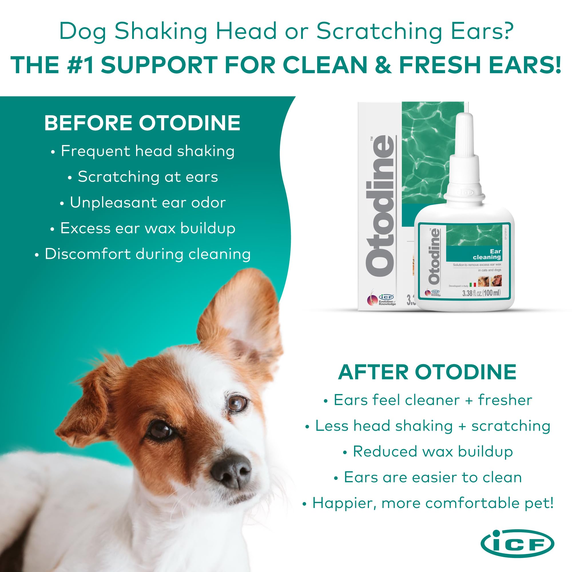 ICF Otodine: elimination debris canal pour oreilles propres