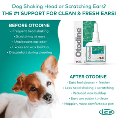 ICF Otodine: elimination debris canal pour oreilles propres