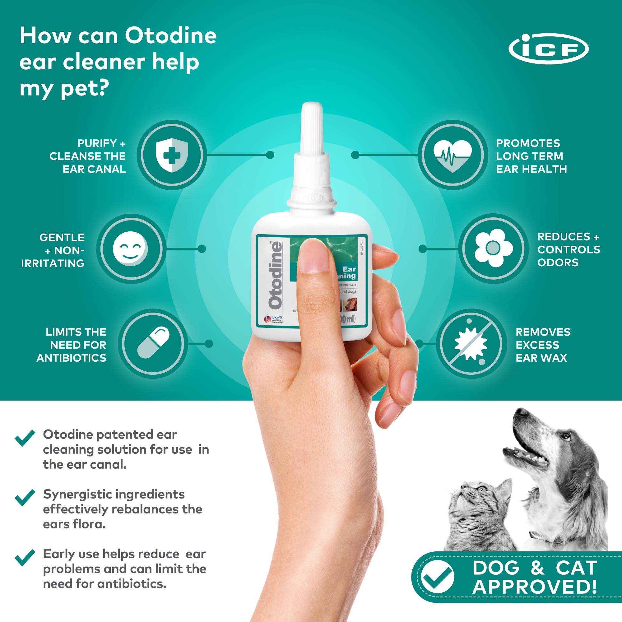 ICF Otodine: rinage des oreilles en profondeur pour chiens et chats