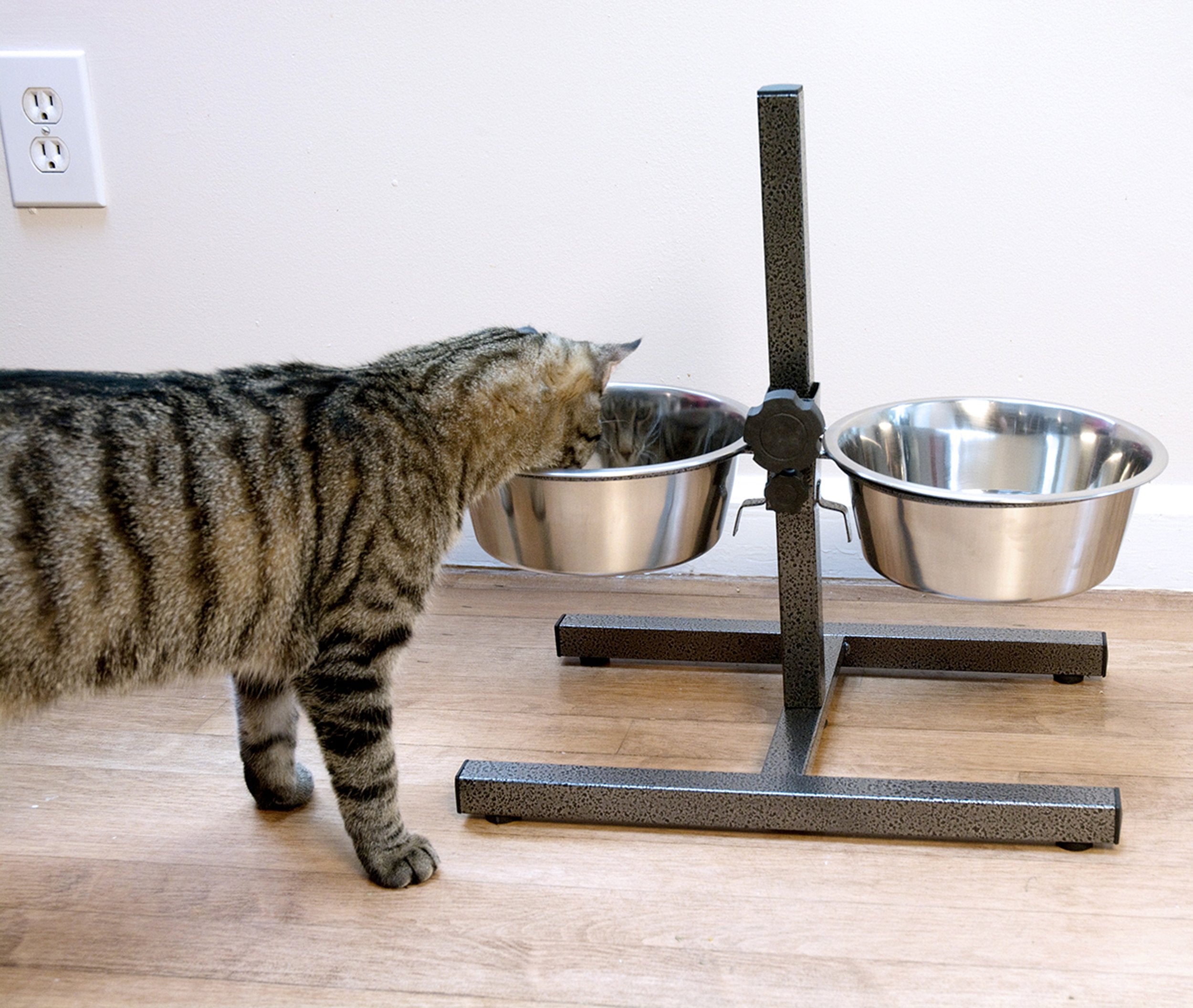 Iconic Pet bols en inox 5-quart, faciles à nettoyer et polyvalents.