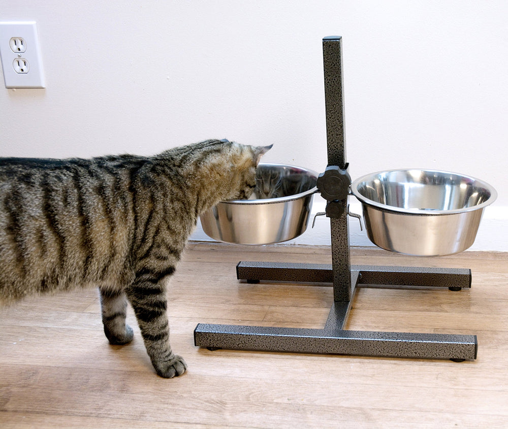 Iconic Pet bols en inox 5-quart, faciles à nettoyer et polyvalents.