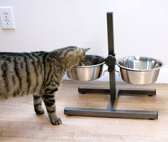 Iconic Pet bols en inox 5-quart, faciles à nettoyer et polyvalents.