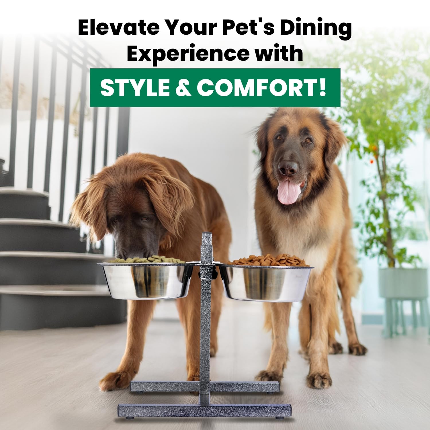 Iconic Pet design silencieux pour des repas calmes et sans bruit.