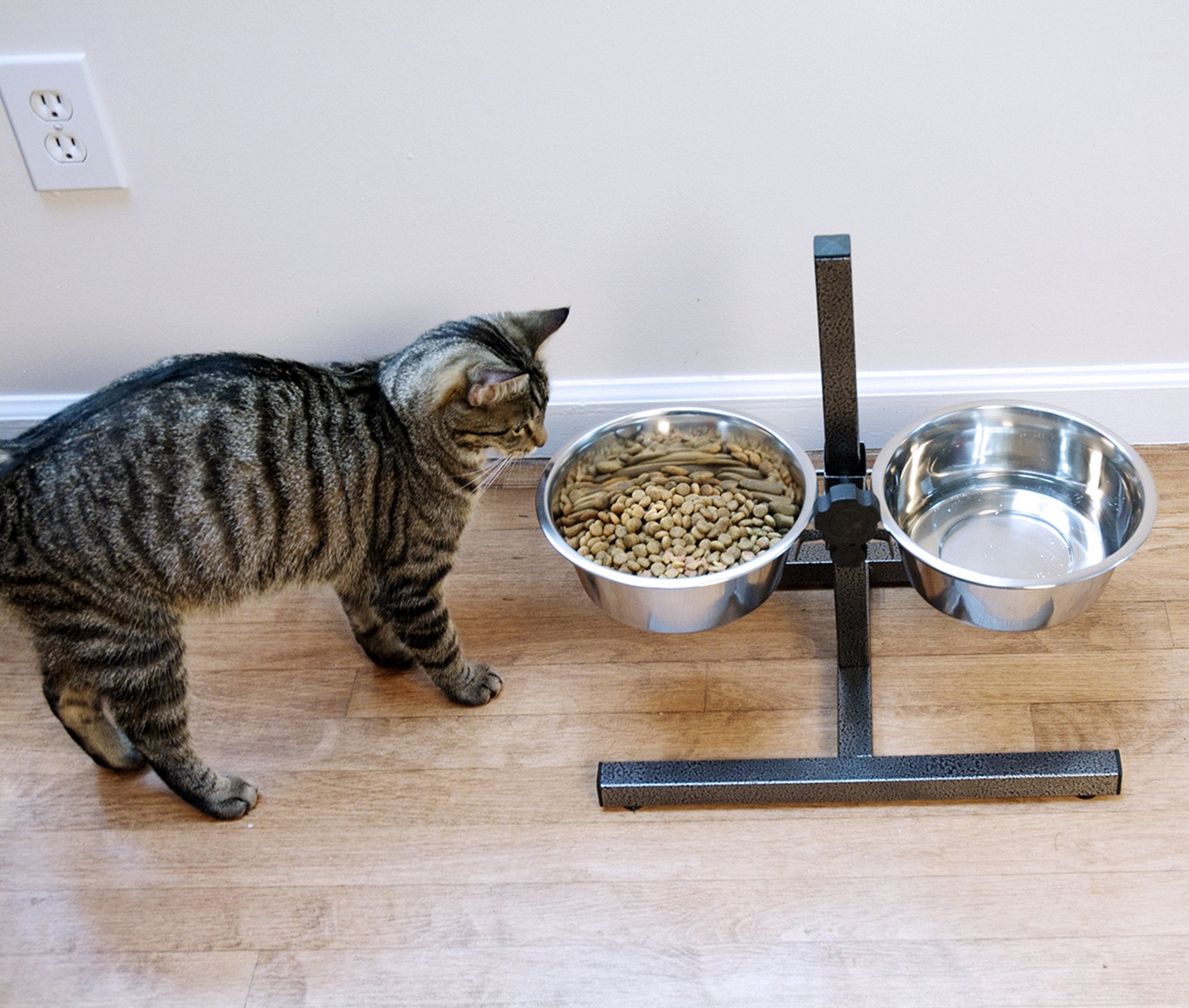 Iconic Pet: repas en position naturelle pour digestion potentielle.