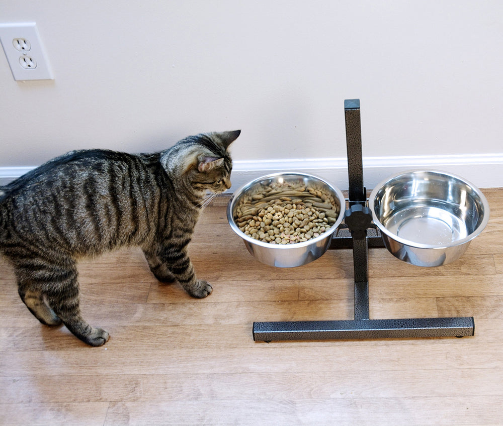 Iconic Pet: repas en position naturelle pour digestion potentielle.