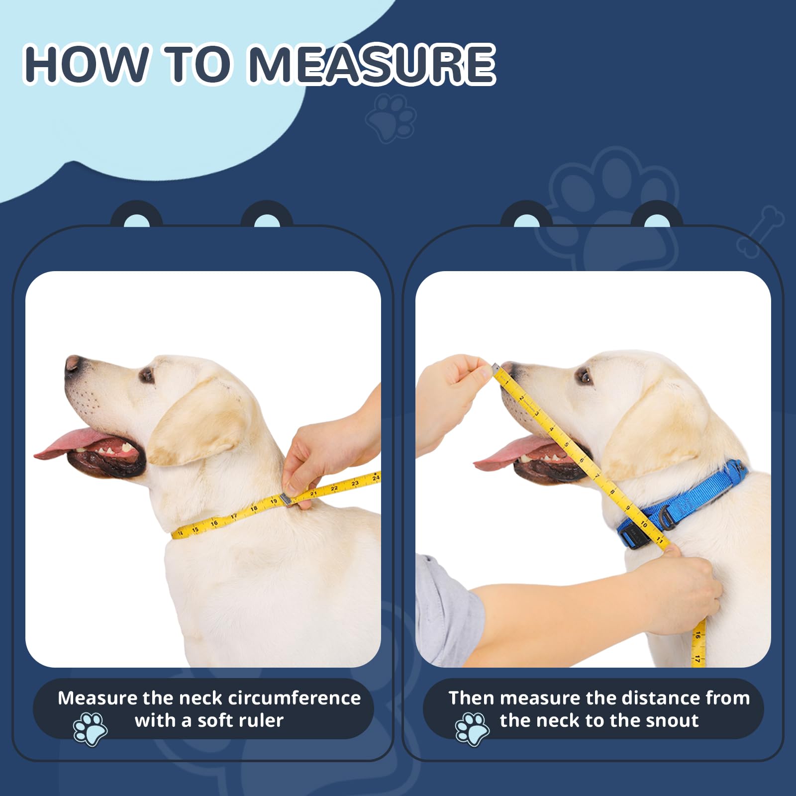 ICOYEA Donut Chien – doubles sangles Velcro pour ajustement sûr.