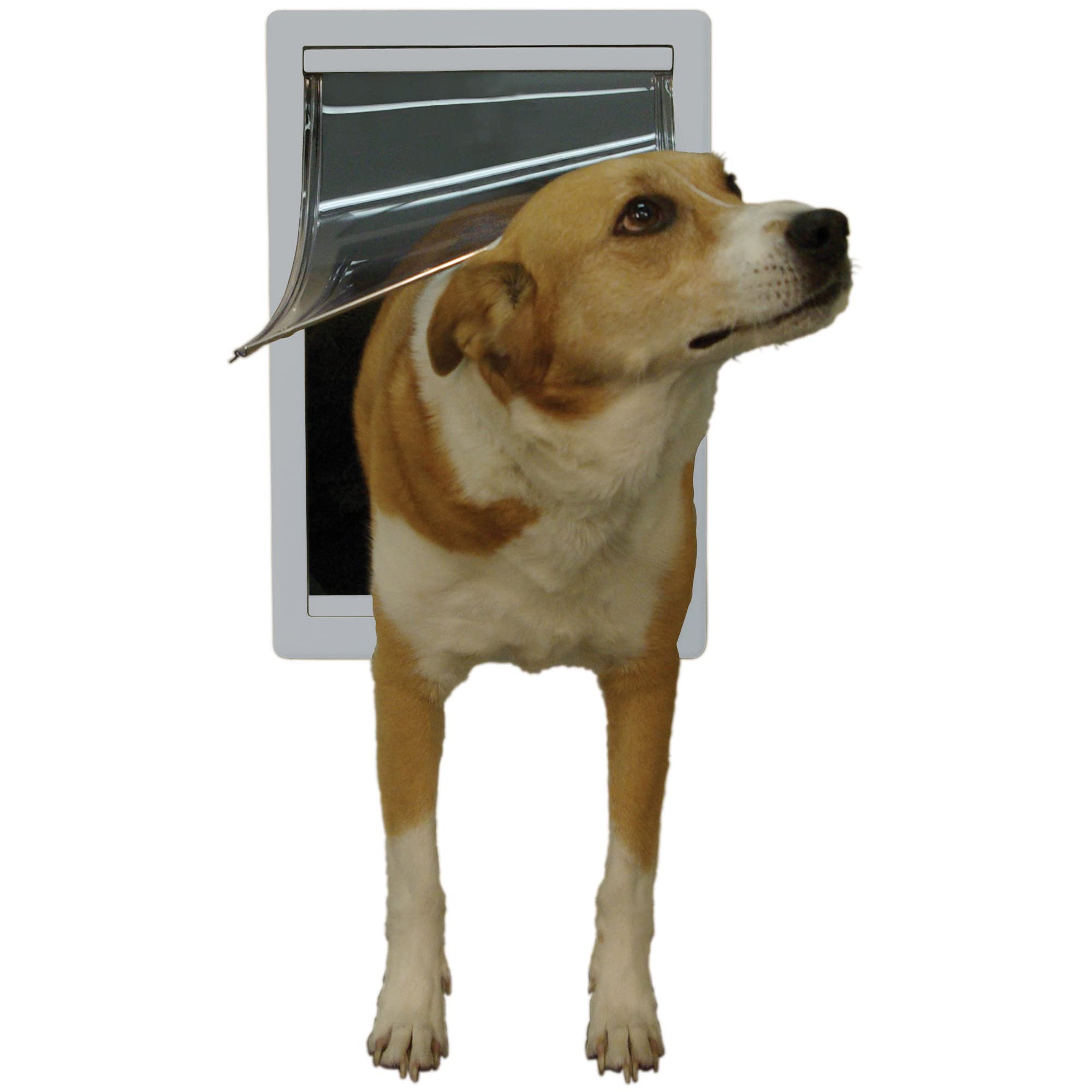 Curseur de verrouillage Ideal Pet pour contrôle d’accès et sécurité.