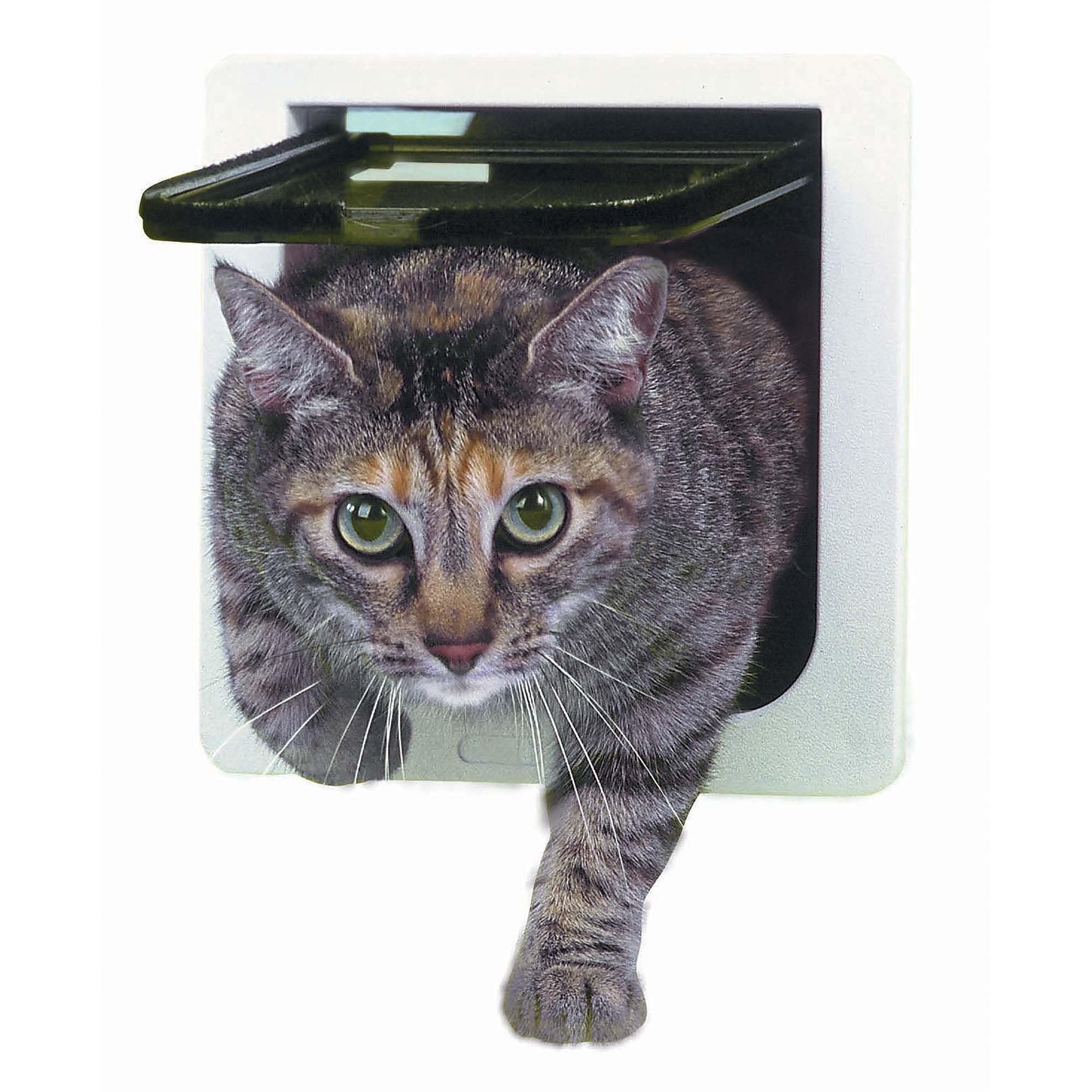 Ideal Pet Products porte-chat avec molette de verrouillage 4 positions pour contrôler l'accès.