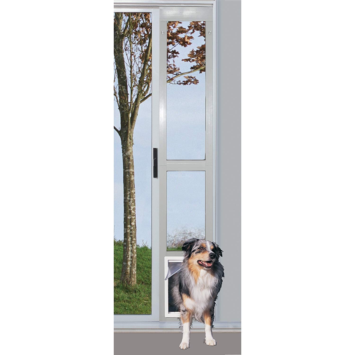 Porte patio avec verre clair Ideal Pet, lumière naturelle et vue dégagée.