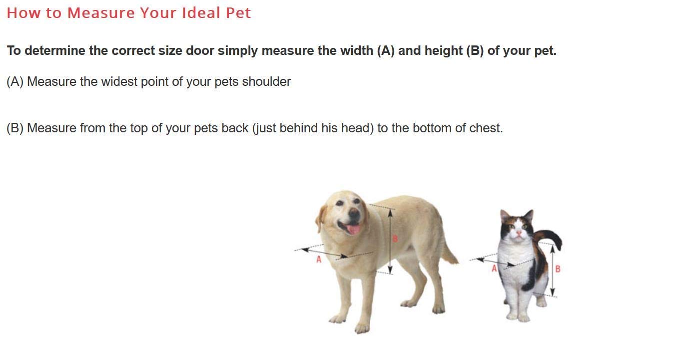 Ideal Pet Products volet vinyle clair assure visibilité et sécurité pour votre animal.