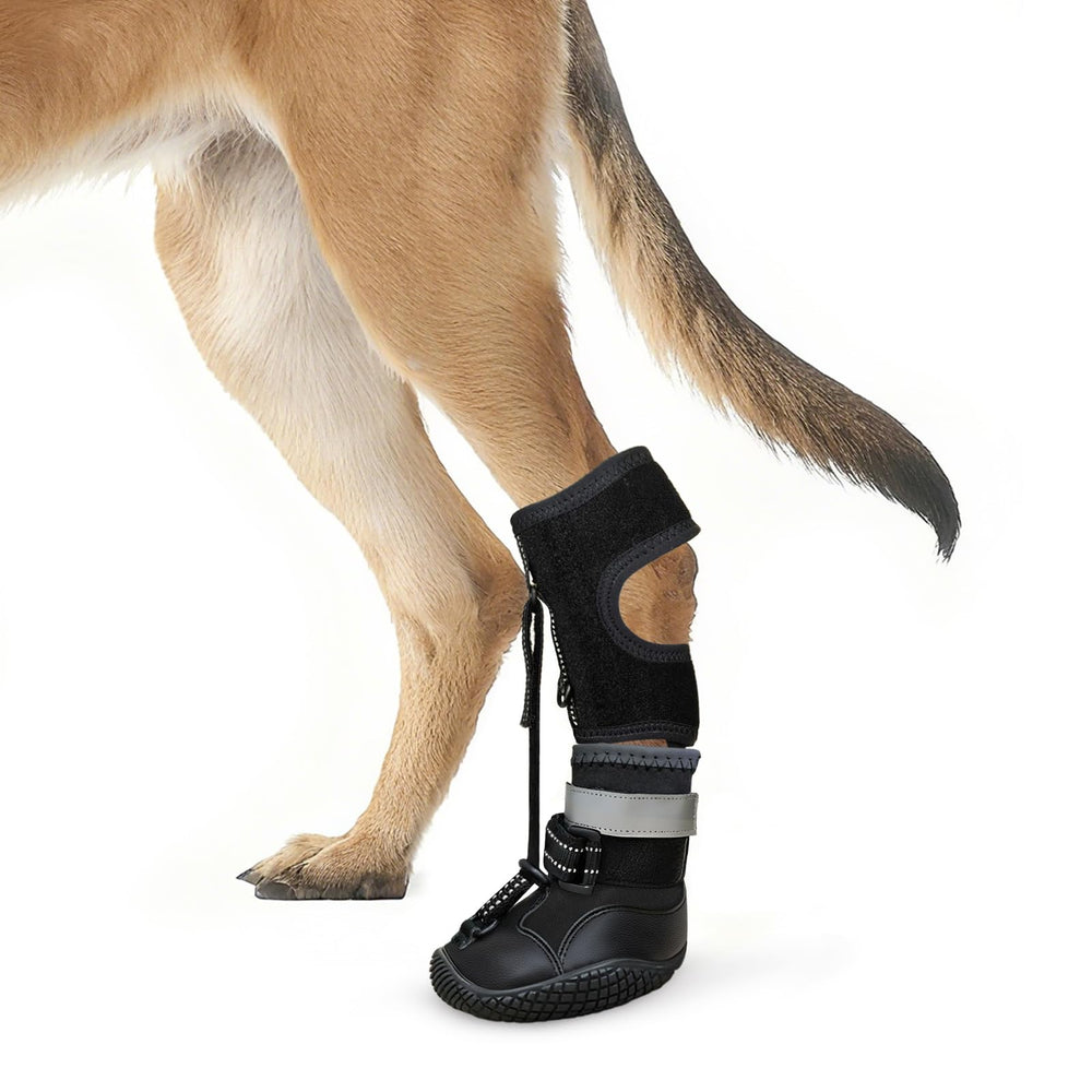 Idepet attelle pied tombant chien: soutien et stabilité lors des promenades
