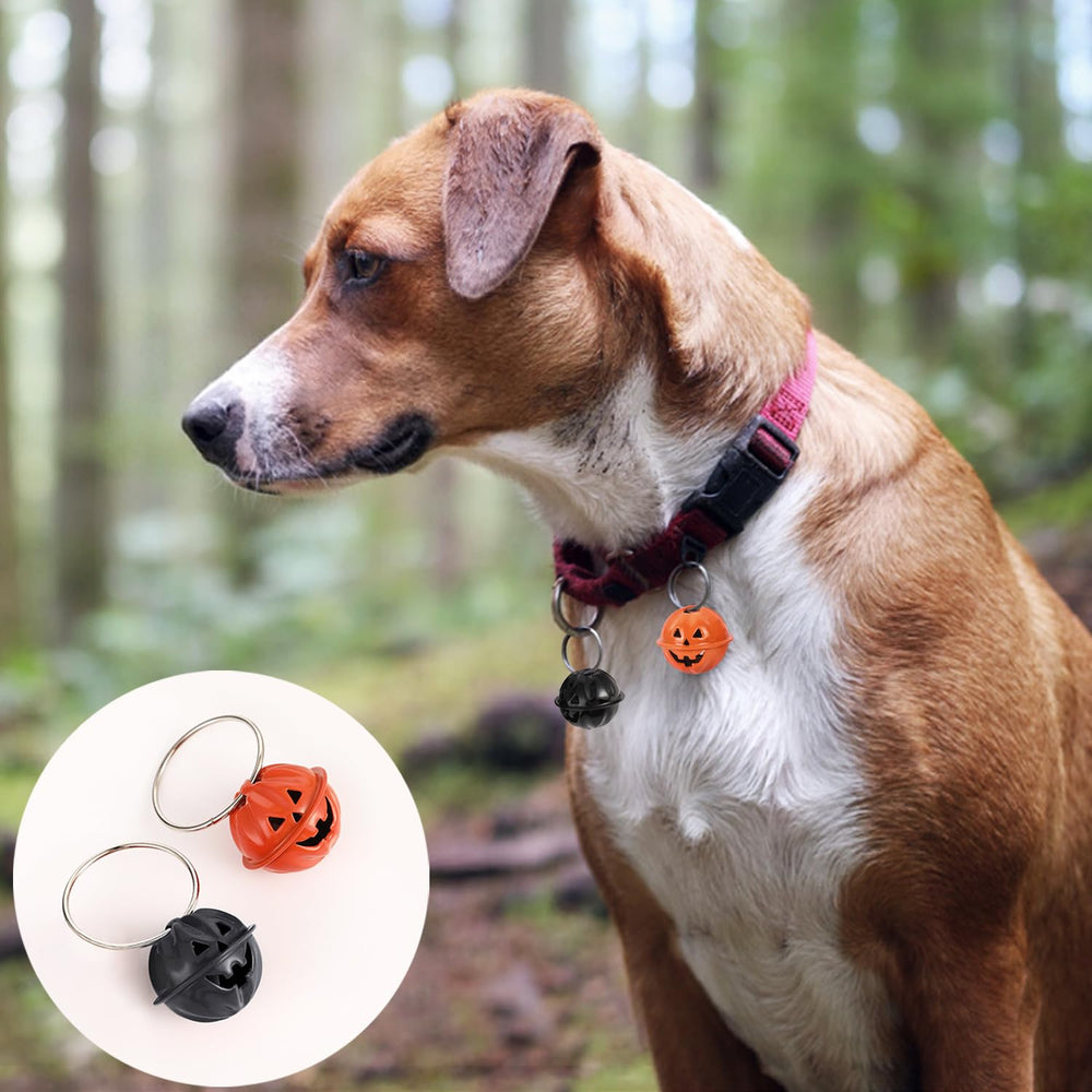Idepet ideal pour l'hiver et les fêtes – chien prêt pour l'hiver