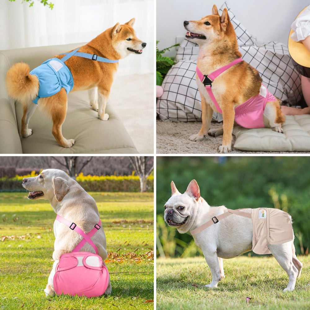 Idepet pack trois couches réutilisables, pratique pour les remplacements rapides.