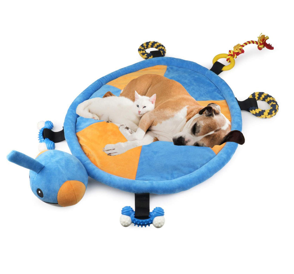 Idepet Tapis-jeu chien tortue bleu jaune, stimulation des sens pendant le jeu.