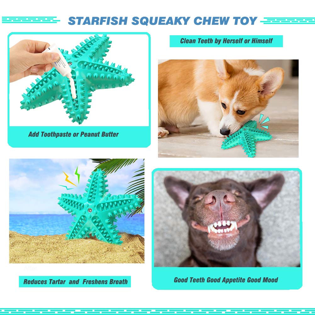IDOLPET dimension 6,5 pouces pour étoile de mer bleu, adapté petits et moyens chiens
