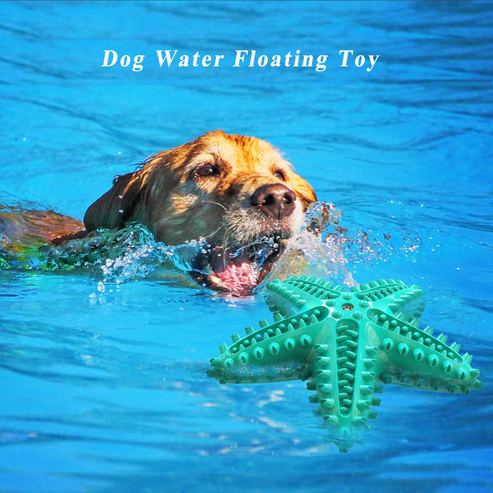 IDOLPET utilisation bain plage bleu, parfait pour activités aquatiques