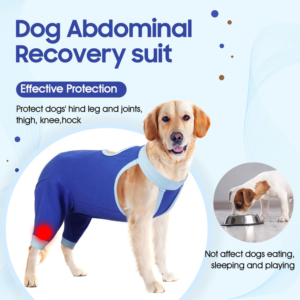 IDOMIK Combinaison récupération chien – callosites, réduisant le frottement et favorisant le rétablissement.