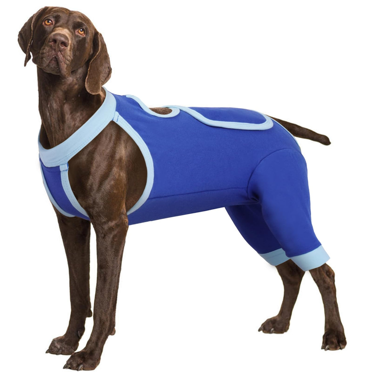 IDOMIK Combinaison récupération chien – pattes arrière, protège les plaies et offre du confort.