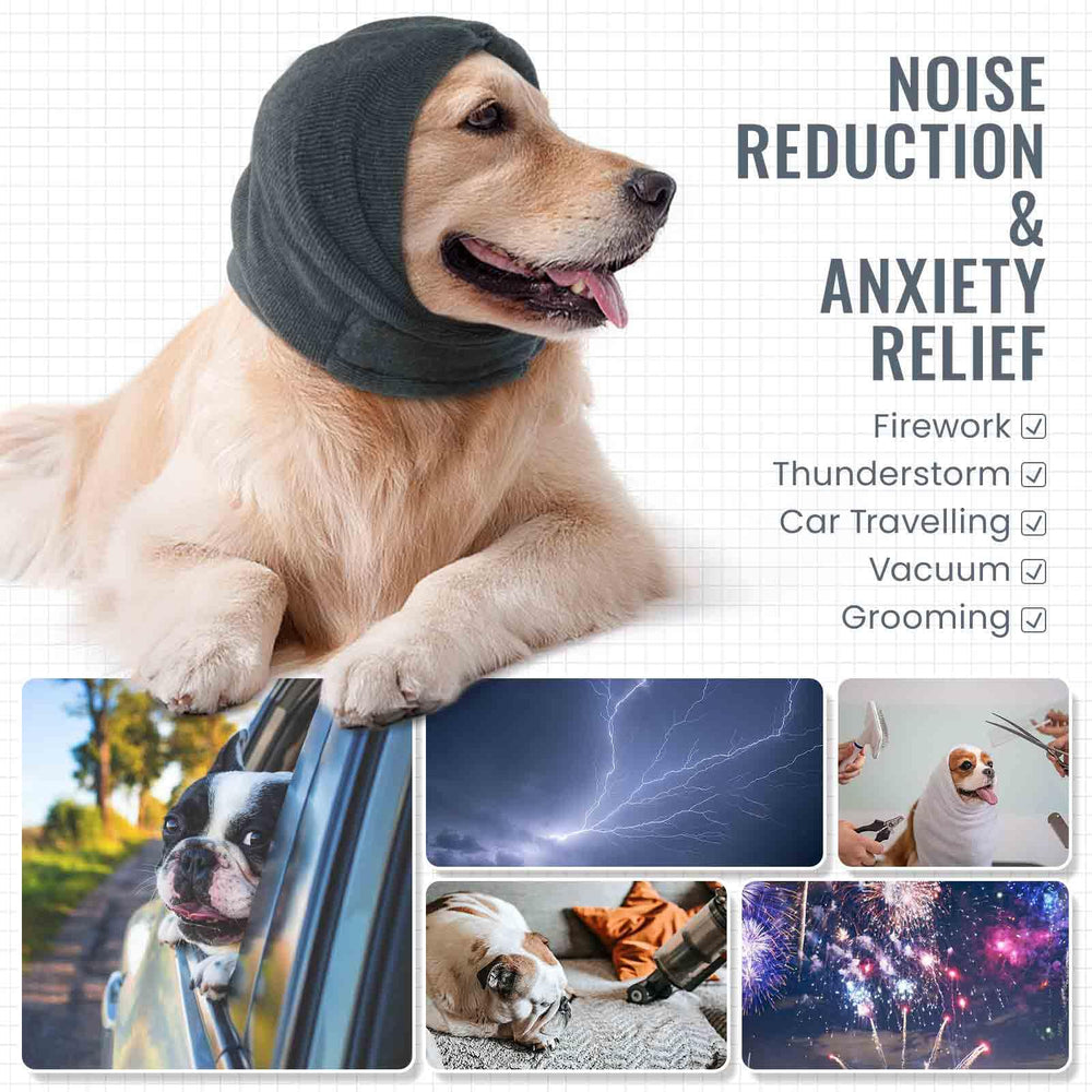 Confort hivernal IDOMIK, capuche chaude pour chien lors des journées fraîches.