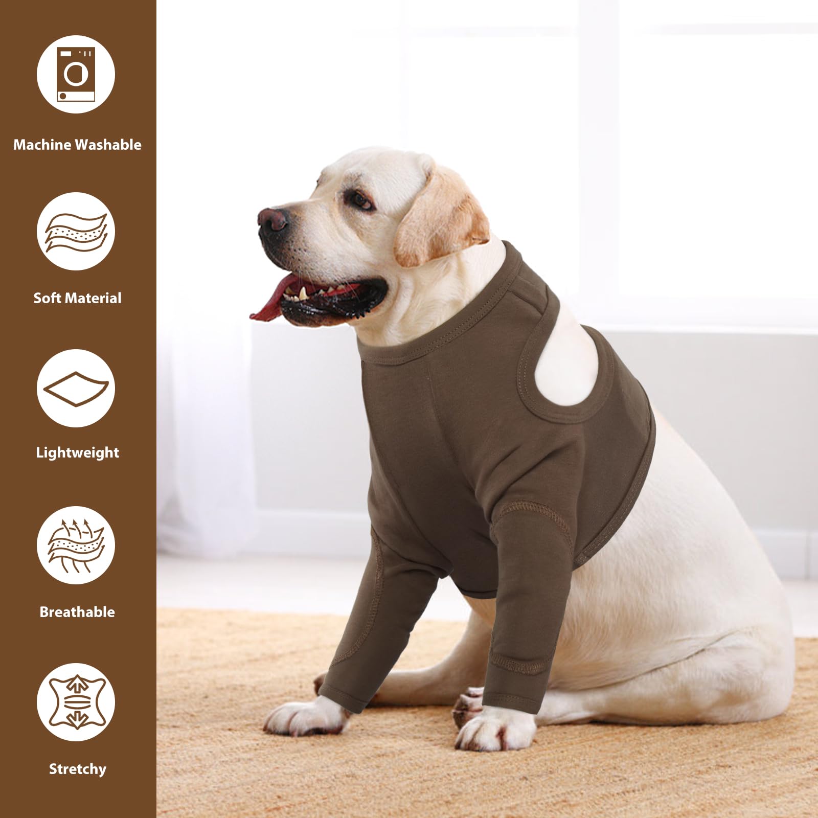 IDOMIK renforcement protège les articulations lorsque le chien se repose.