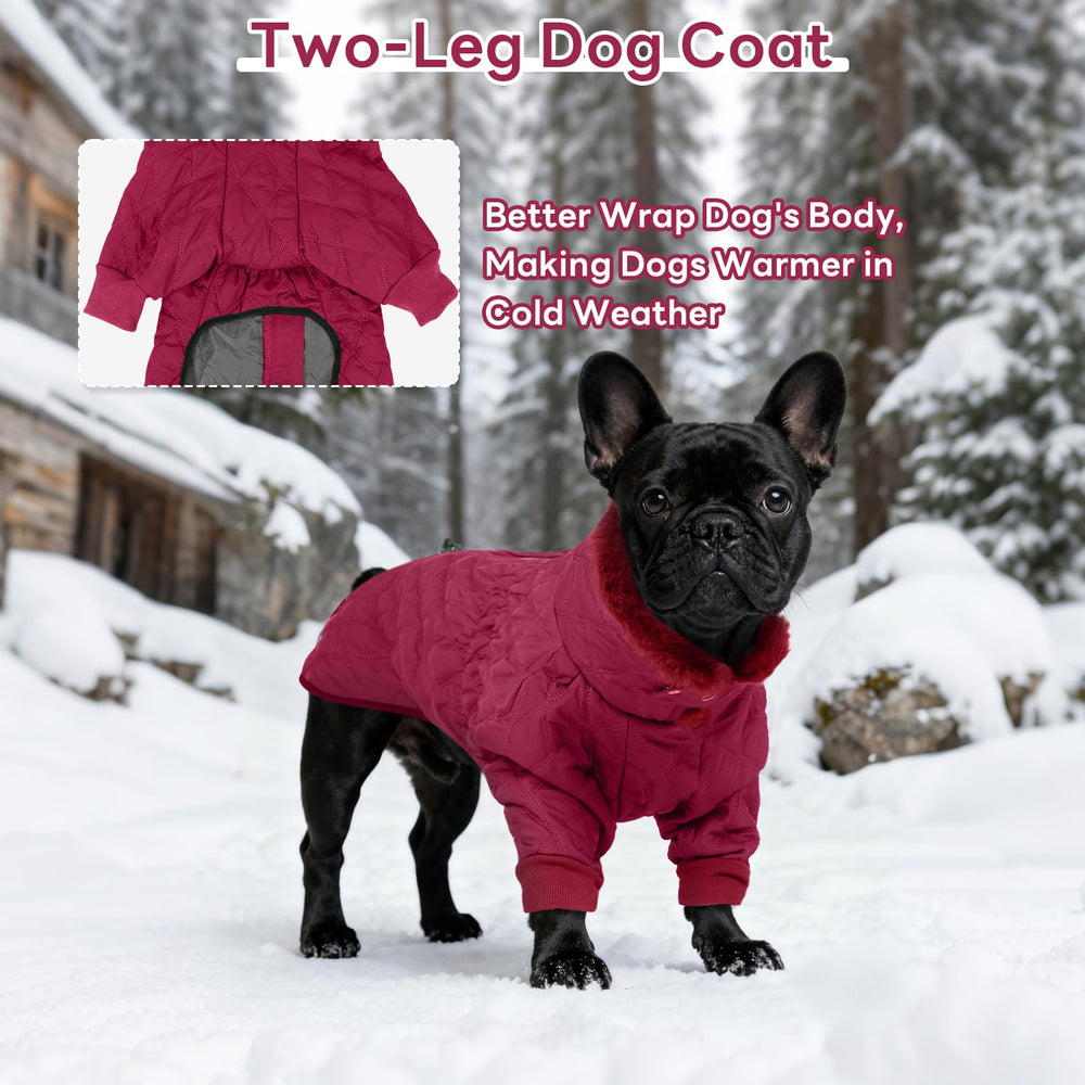 IDOMIK doudoune chien hiver grand fermeture-arriere-protegeant-poils: sécurité lors des sorties.