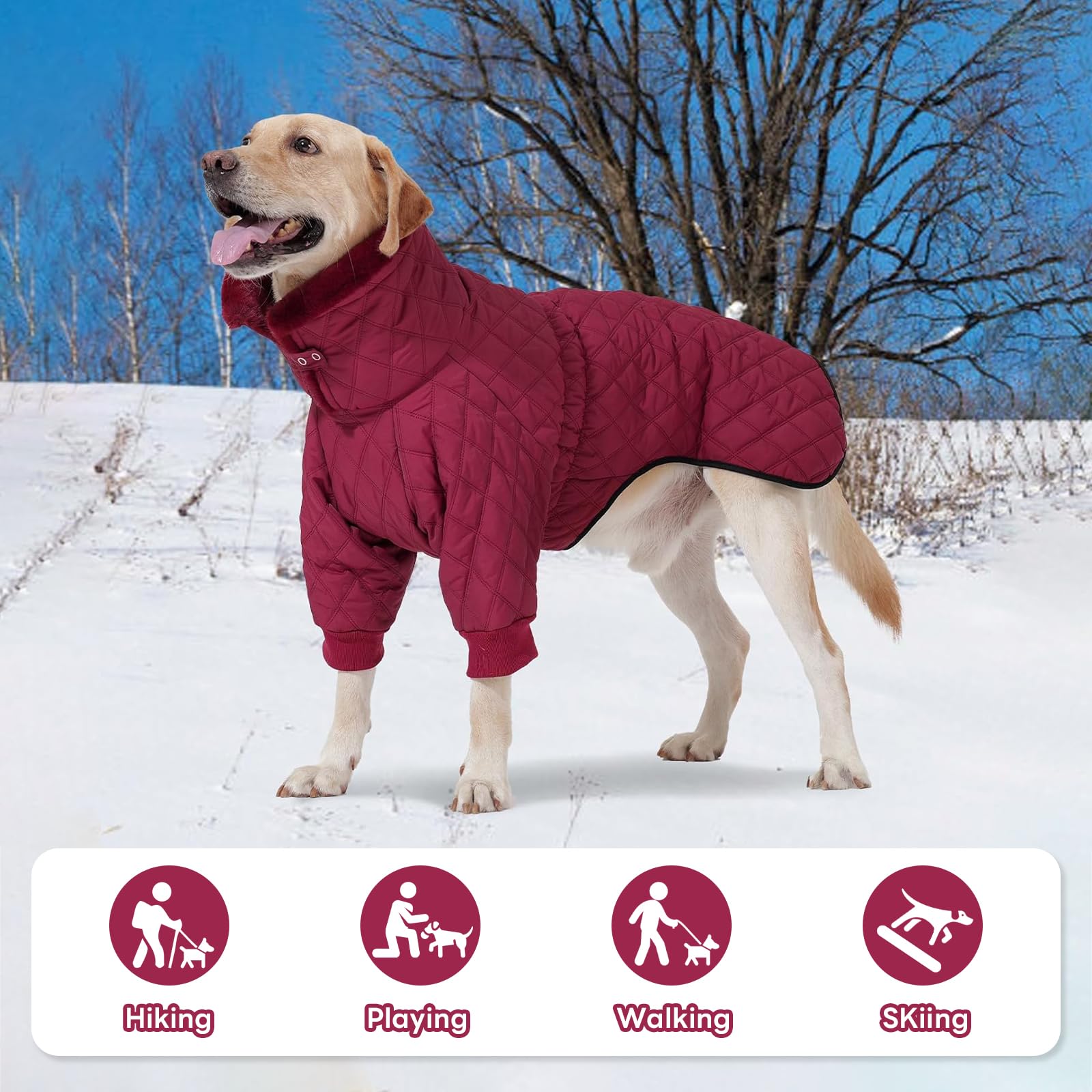 IDOMIK doudoune chien hiver grand tissu-thermique: isolation durable et fiable.