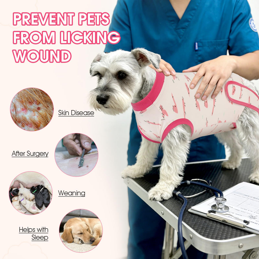 IDOMIK fermeture velcro facile à mettre sans toucher l'abdomen.