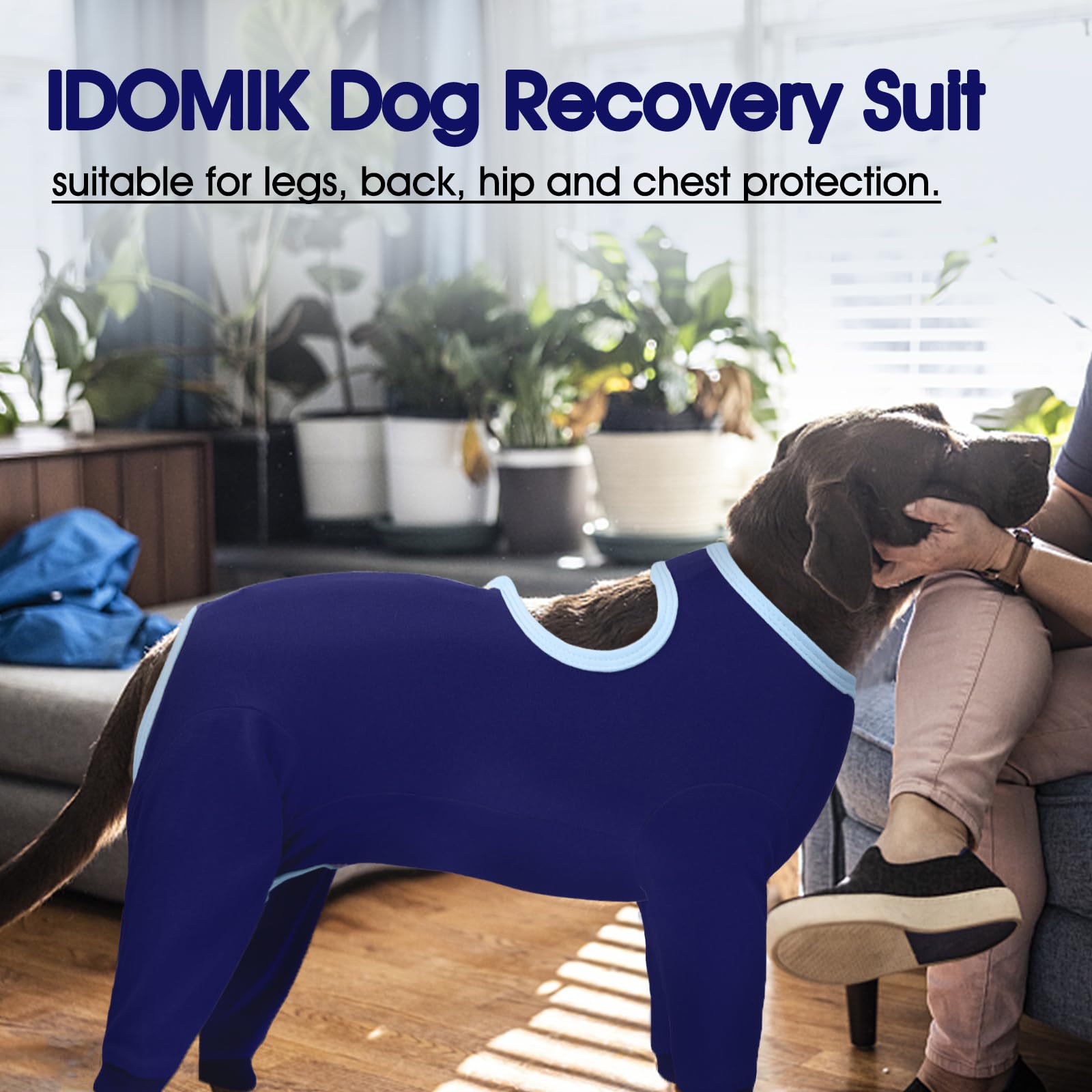 IDOMIK guide tailles chiens disponible assurant un ajustement parfait