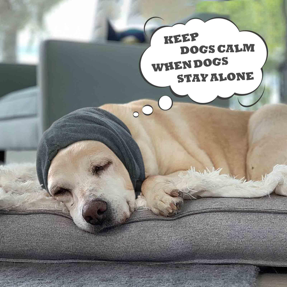 IDOMIK Habillage Chien protection-hematome: protège après chirurgie.