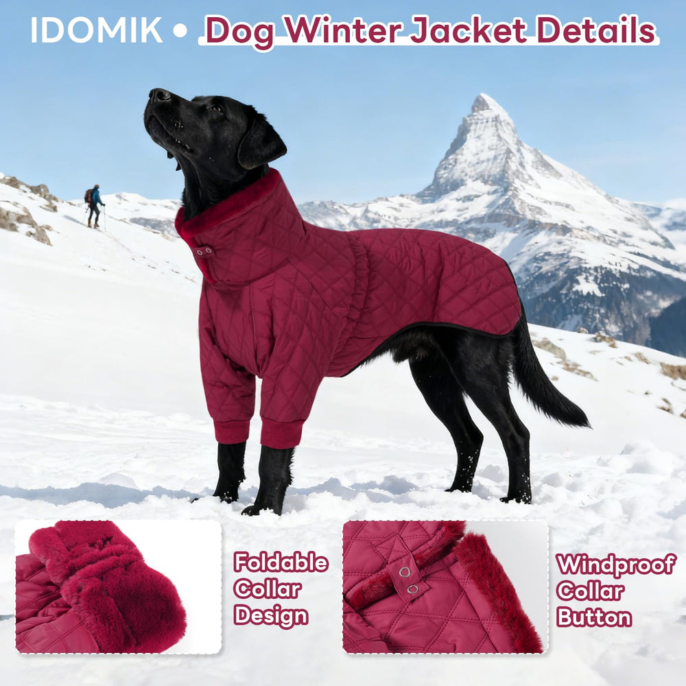 IDOMIK manteau hiver pour chien, col pliable pour deux looks.