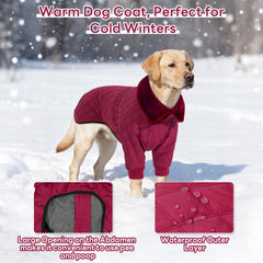 IDOMIK manteau hiver chien grand, col haut pliable et réglable pour le style.