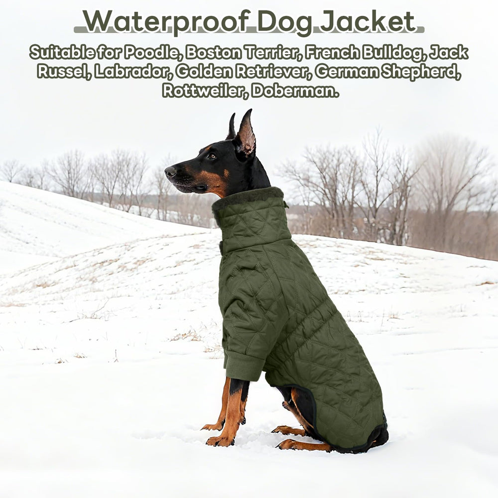 IDOMIK manteau hiver chien grand taille vert — idéal pour activités extérieures en hiver.