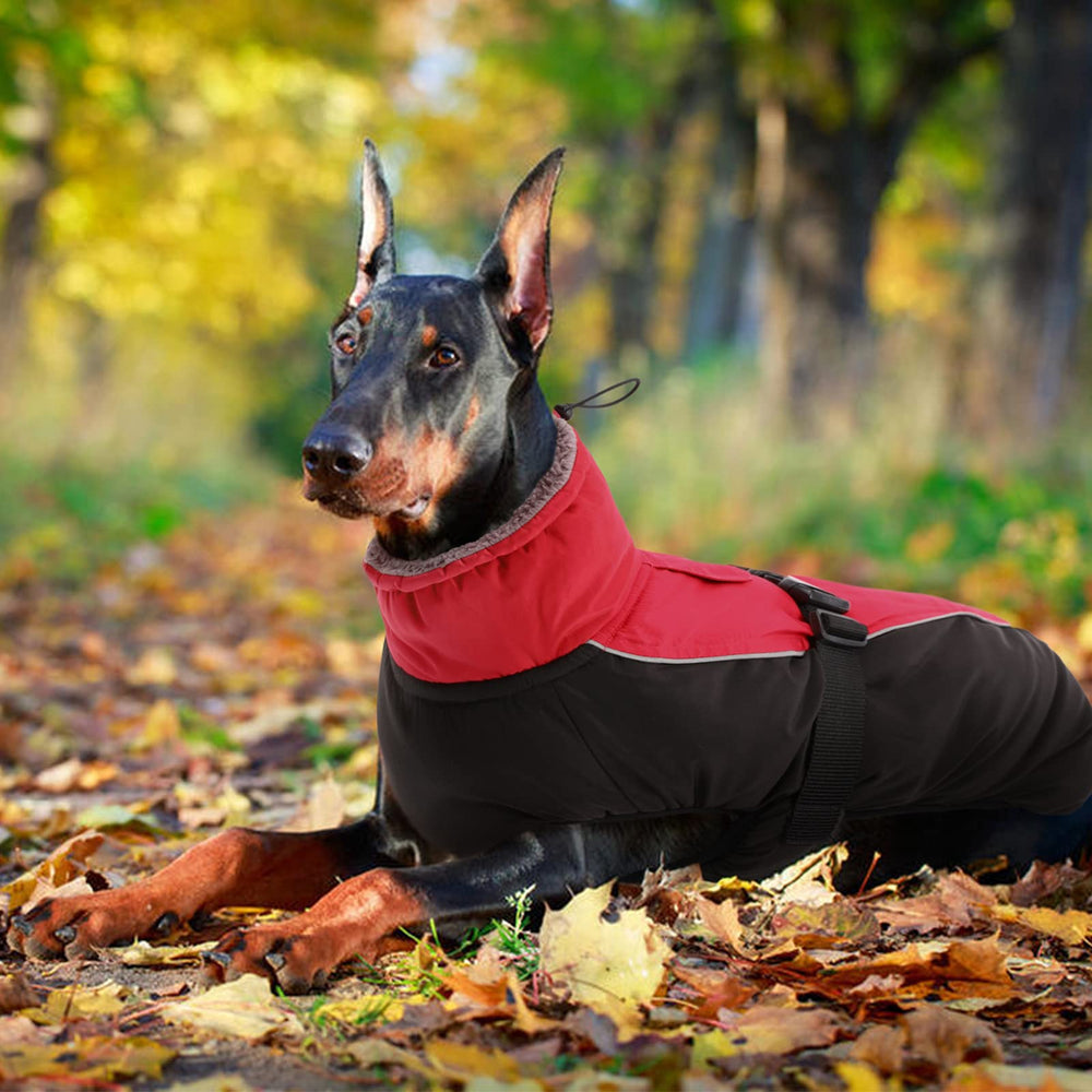 IDOMIK manteau hiver chien facile d’entretien et lavable en machine
