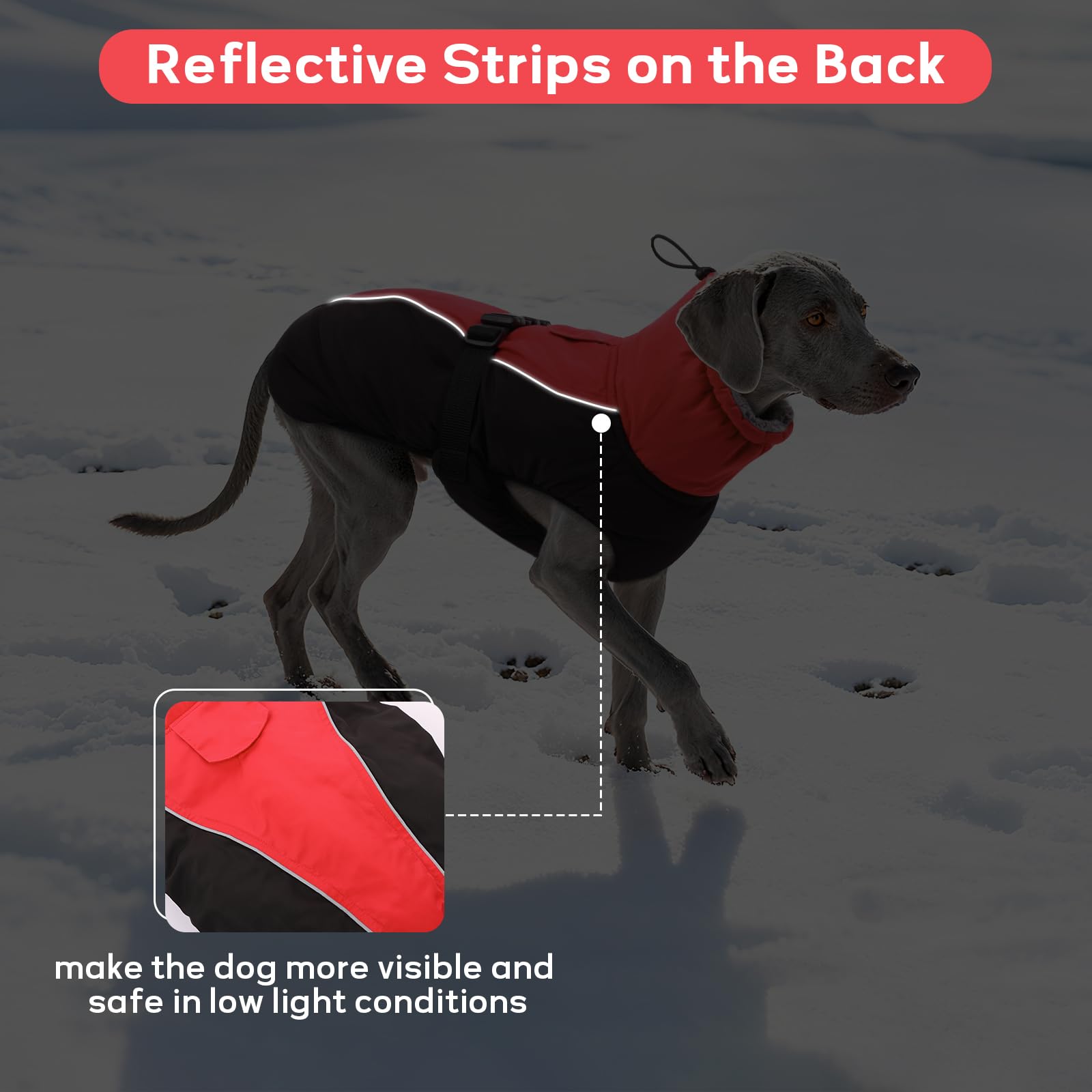 IDOMIK manteau hiver chien disponible tailles S à XL pour tous les chiens