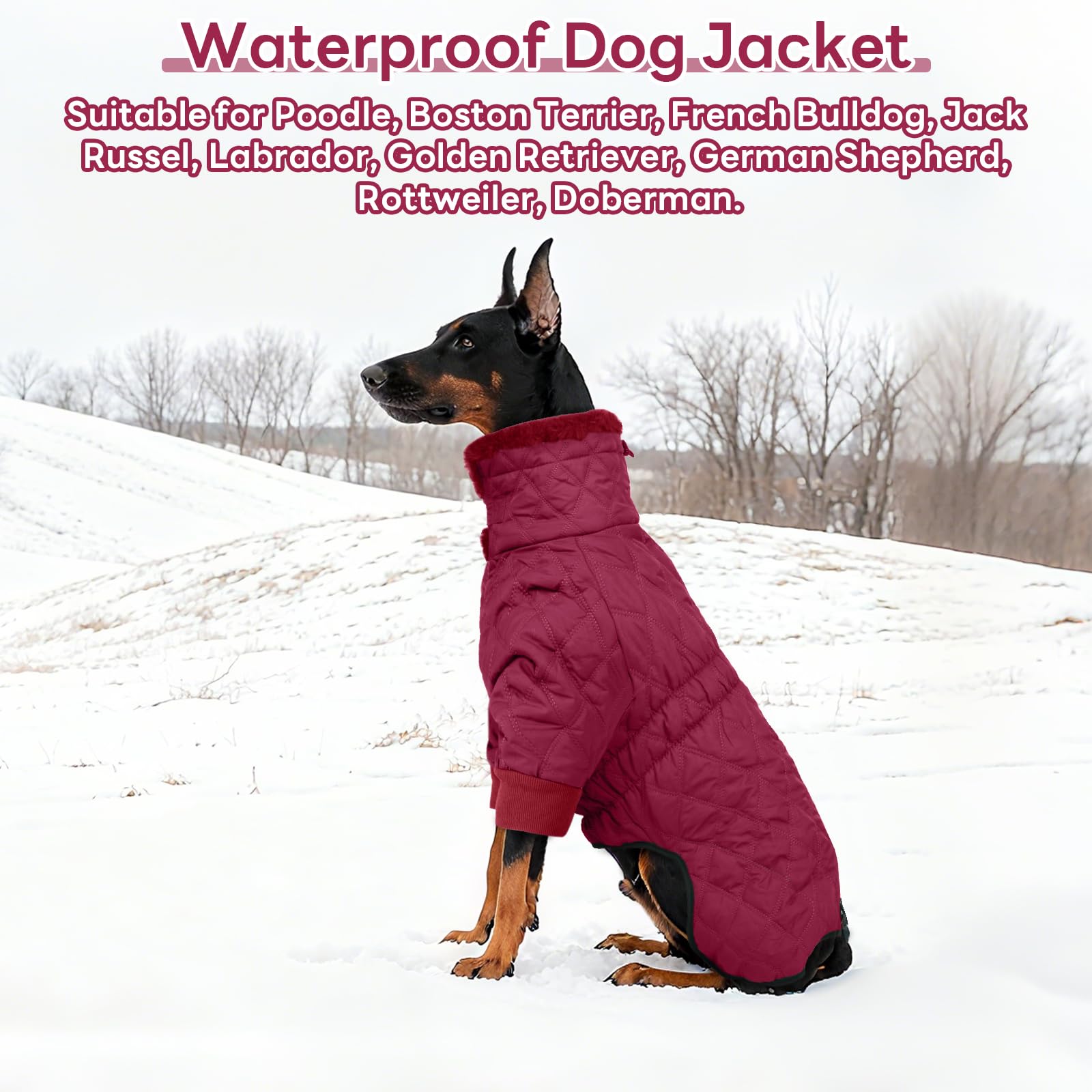 IDOMIK manteau hiver chien, tailles S à 3XL disponibles.