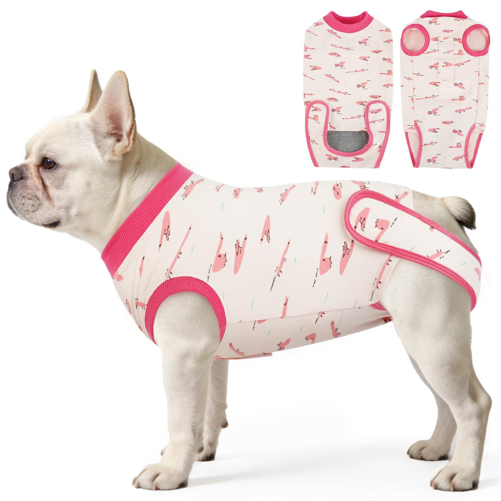 IDOMIK tenue de récupération pour chien femelle - vue avant, protège incision et confort.