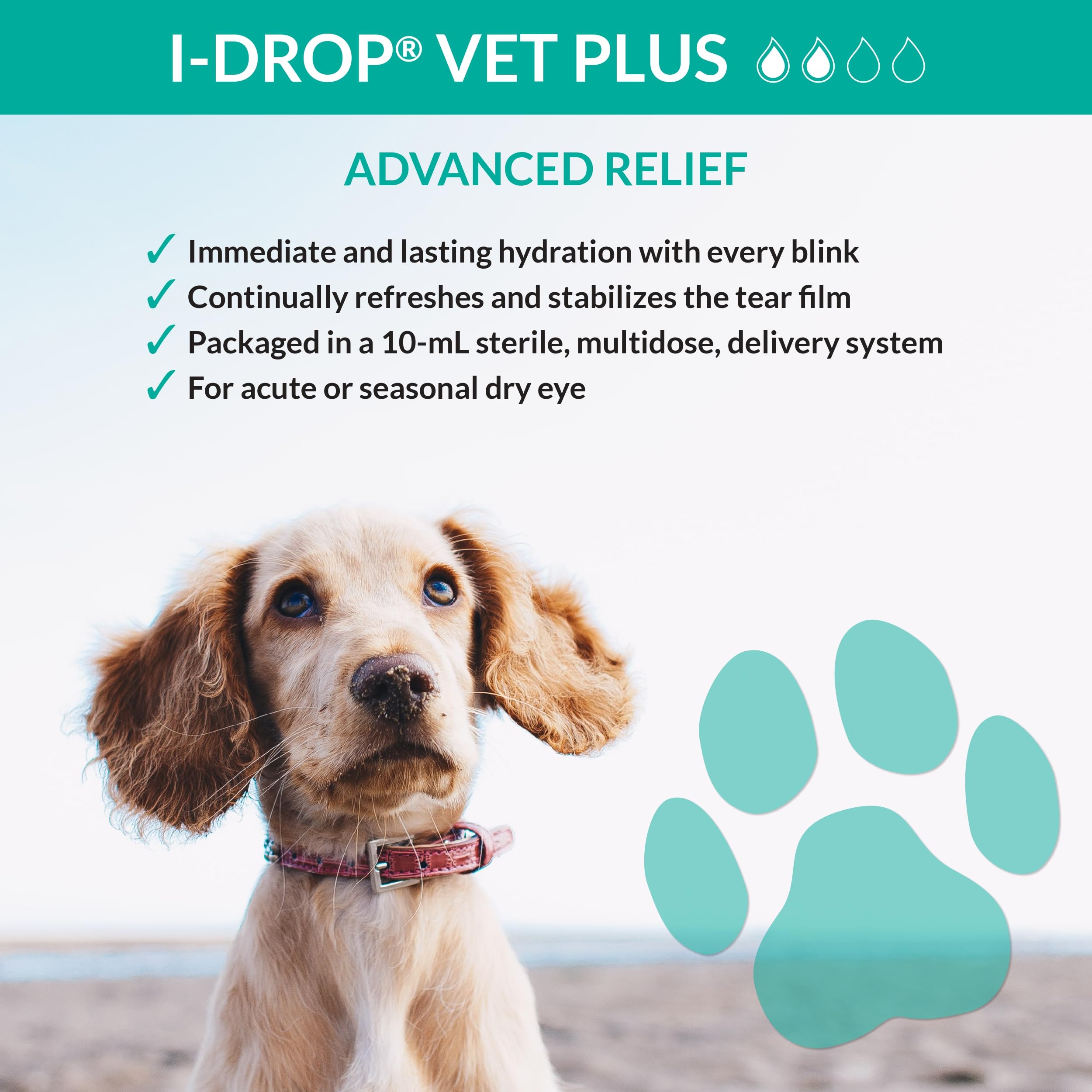 I-DROP VET PLUS confort oculaire amélioré pour chiens souffrant de sécheresse.