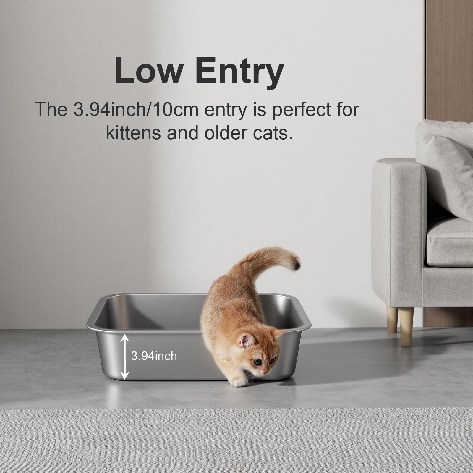 Idymere Litière en acier inox, taille compacte pour chatons.