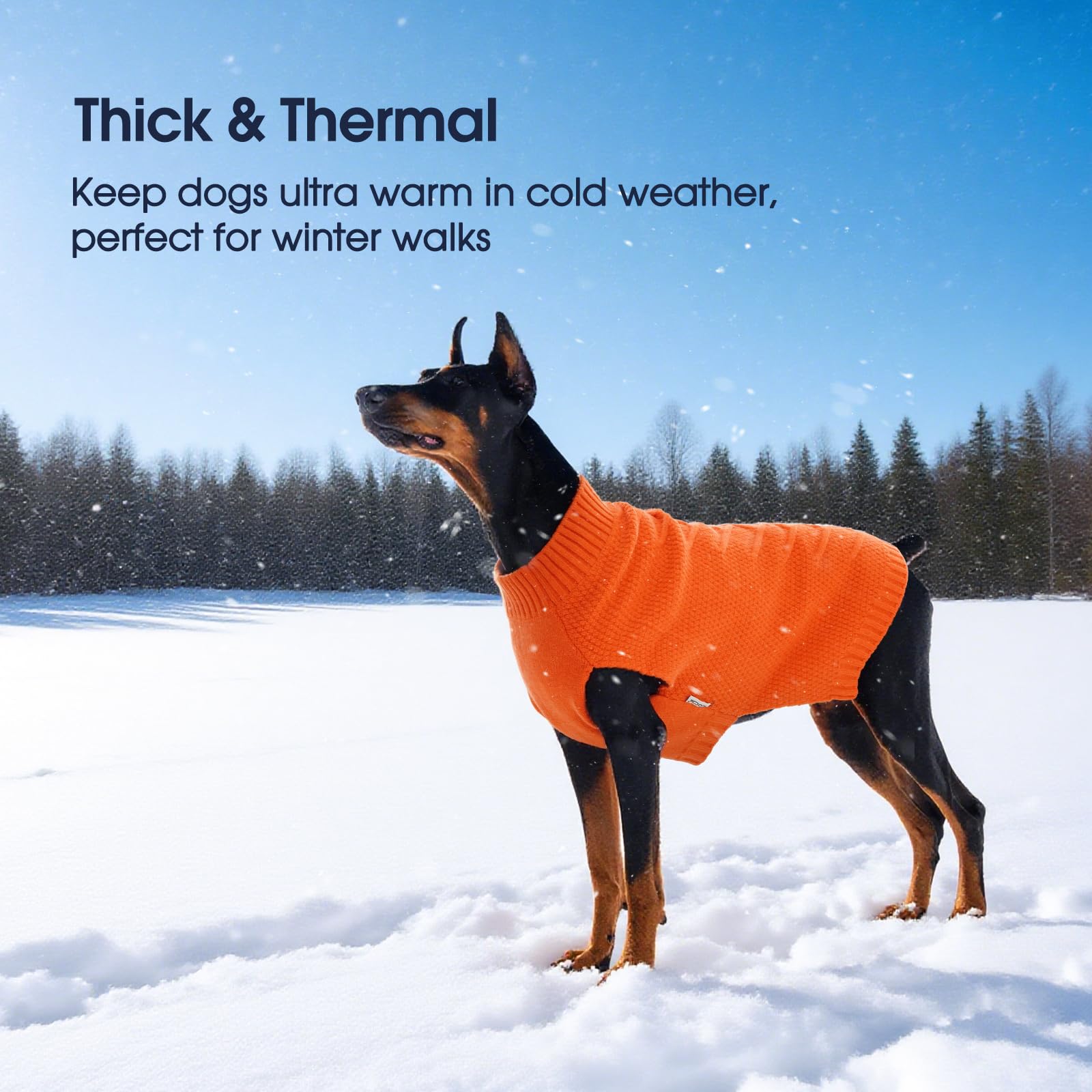 IECOii pull orange pour dogue allemand, facile à mettre pour tous les chiens.
