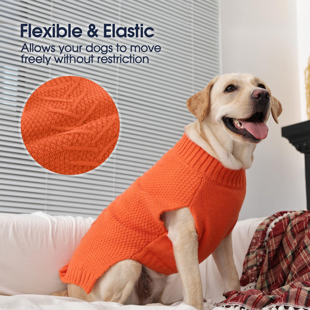 IECOii pull orange pour dogue allemand, motif tricot élégant.